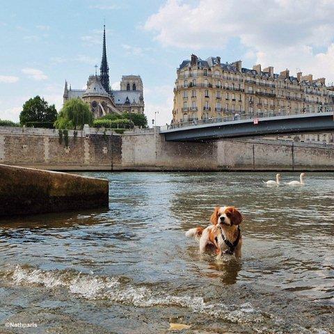 paris-20