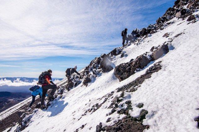 new-zealand-10