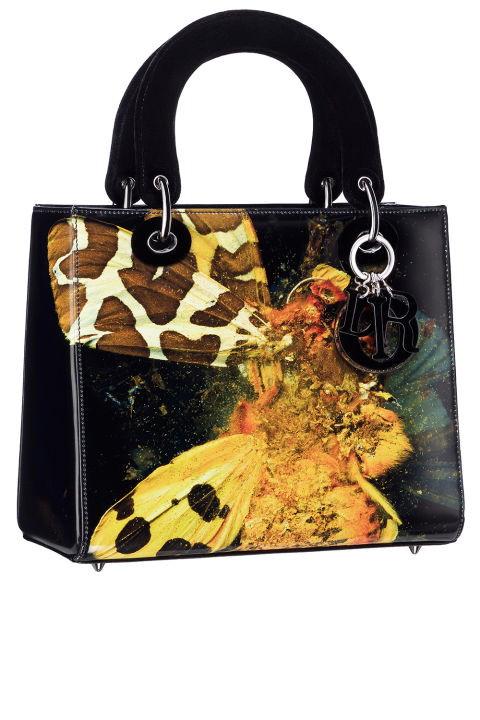 lady-Dior-bag-Mat Collishaw-6
