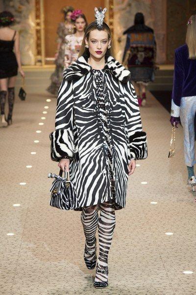 animal-print-Dolce-&-Gabbana-9