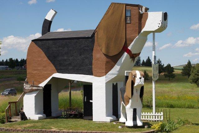 dog2