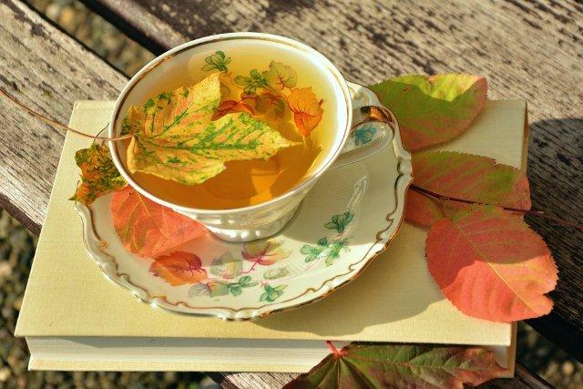 fall-2