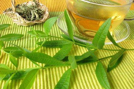 louiza-rofima-adinatisma-4