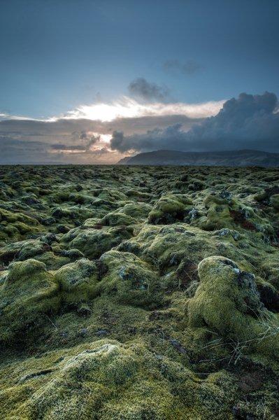 photo-from-Iceland-14
